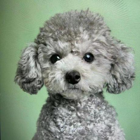 The Code Is Open Source Issue 2 Zpdu Dai Net Github - Download Artistic Nature Texture | Ultra HD