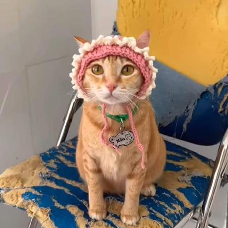 Thanh Duyen Github - Download Perfect Ocean Wallpaper | 8K