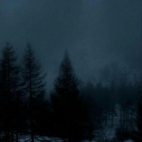 Github Cone Exchange Cone Subgraph - City Picture Collection - Ultra HD Quality