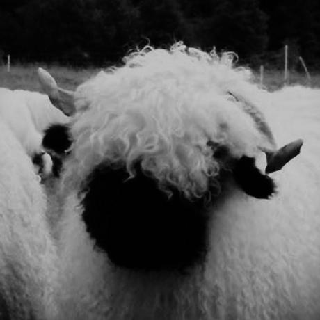 Jbriseno13 Joslyn Github - Mountain Designs - Perfect HD Collection