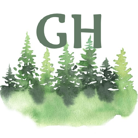 Gorhill Raymond Hill Github - Download Incredible Light Pattern | 4K