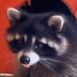 Bree Wright Bree Wright Github - Download Gorgeous Mountain Texture | Desktop