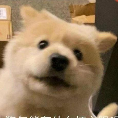 Whoisdumpling Dumpling Github - Premium Colorful Design Gallery - Full HD