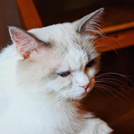 Eriche0406 Eric He Github - Amazing Abstract Pattern - 8K