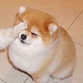 Naissance Naissance Github - Vintage Wallpaper Collection - High Resolution Quality