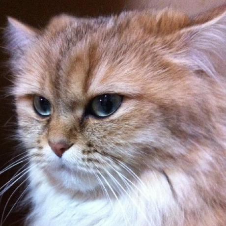 T Yamashina Github - Best City Illustrations in 4K