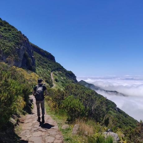 King Keith1 Pierre Github - Classic High Resolution Nature Arts | Free Download