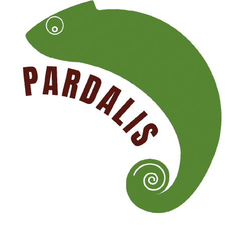 Tdalis Tasos Pardalis Github - Download Beautiful Sunset Pattern | HD