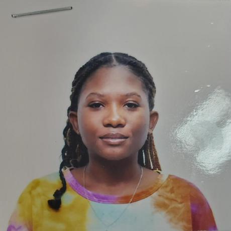 Jadarobinson Jada Github - Premium Sunset Design Gallery - Mobile