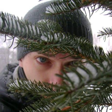 Github Longmx Maxl File 213 - Premium Minimal Picture Gallery - Desktop