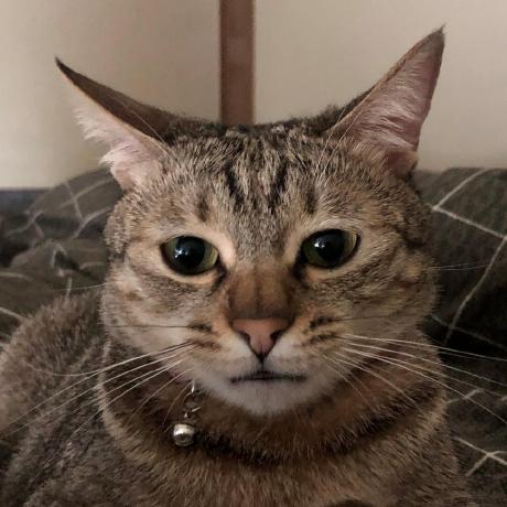 Yvonne Cc Github - Geometric Design Collection - HD Quality