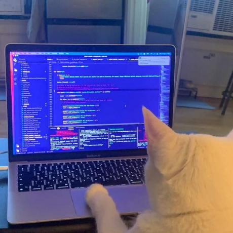 Shalomike Barnabas I Adeleke Github - Premium Sunset Art Gallery - 4K