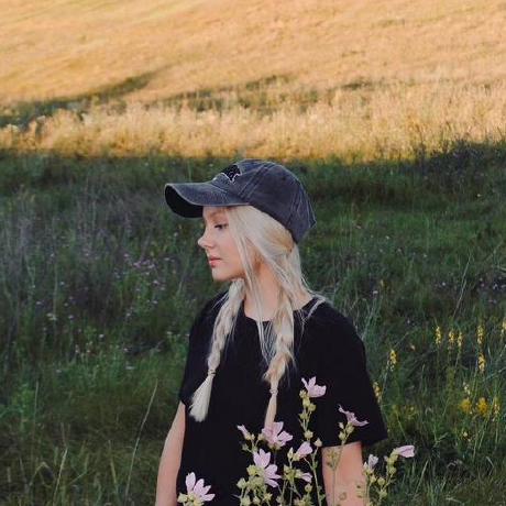 Taisia Zlotnikova Github - Mountain Designs - Elegant Mobile Collection