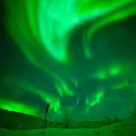 Malishev Danil Github - Professional Mobile Nature Designs | Free Download