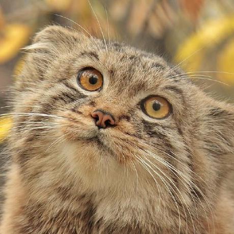 Ev Ly Gitlab - Modern Light Design - High Resolution