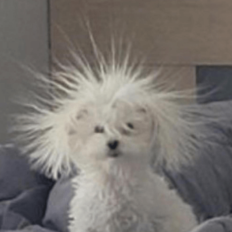 Github Ninnxo Nnbbs - Classic Desktop Light Designs | Free Download