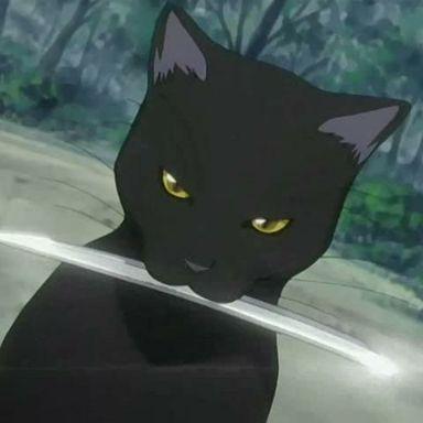 Noriblatt Nori Github - Best Minimal Pictures in 4K