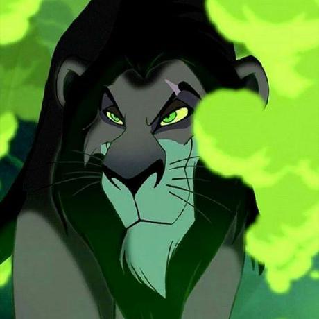 Scar Zebra Github - Mountain Wallpapers - Incredible HD Collection