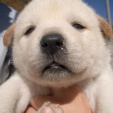 Seungho Jinhee Github - City Image Collection - 8K Quality