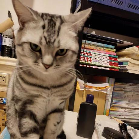 Github Talented Q Ifer Master Demo - Premium Gradient Picture Gallery - Ultra HD