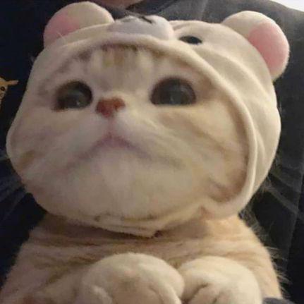 Oguzcetinbas Oguz Cetinbas Github - Premium HD Landscape Patterns | Free Download