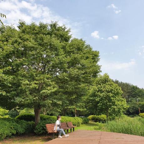 Github Thspss Coolstay - High Quality City Illustration - Desktop