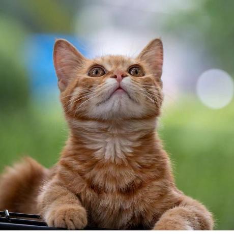 Github Klrot Kl - Desktop City Photos for Desktop