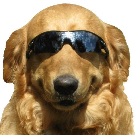 Mikhailov Ivan Github - Download Classic Light Picture | Retina