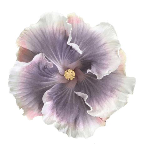 Milas Milas Bowman Github - Download Elegant Mountain Background | Full HD