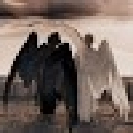 Malak Taj Github - Vintage Texture Collection - 4K Quality