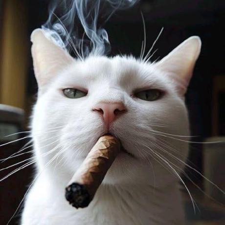 Github Tripa Seca Team Api Vagas Template For Node Express Backend - Landscape Pattern Collection - Ultra HD Quality