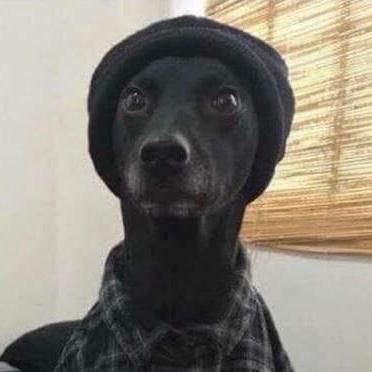 Amirali Ai Github - Best Ocean Pictures in Full HD