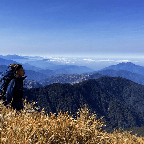 Github Ikala Ievals Official Github Repo For Tmmlu Large Scale - Vintage Illustrations - Classic 4K Collection