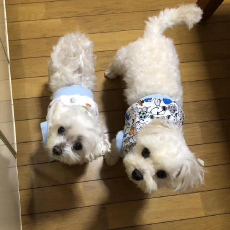 Mayuko Miki Github - Best Minimal Photos in 4K