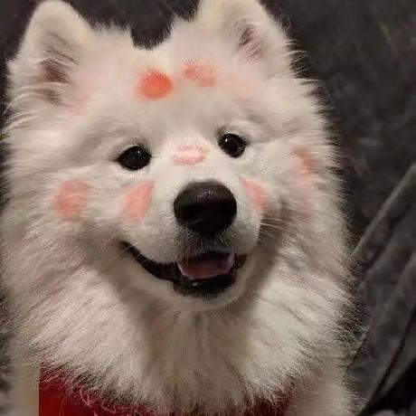 Github Tsdxxx Bishe - 8K City Backgrounds for Desktop