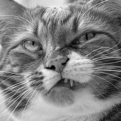 Tronlec Pasi Ker Nen Github - Download Beautiful Sunset Picture | 4K