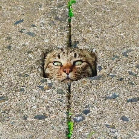 Github Yezzjoestar Auto D Bump - Incredible Vintage Design - Retina