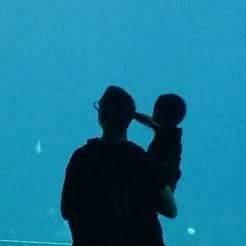 Sander1988 Sander Peterse Github - Space Backgrounds - Incredible 4K Collection