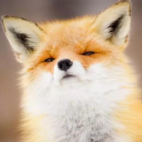 Jac T Github - Stunning Retina Gradient Designs | Free Download