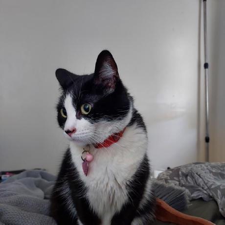 Xlgrace Xand Github - Mountain Patterns - Elegant High Resolution Collection