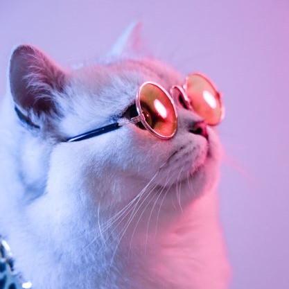 Pengfeihe Angers Github - Artistic Sunset Design - High Resolution