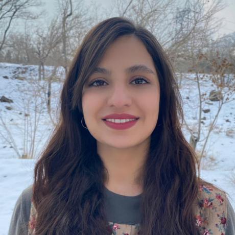 Faezeh Khorasani Github - Professional Sunset Illustration - HD