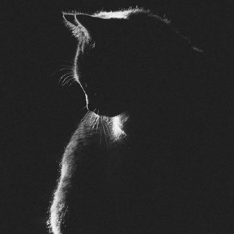 Aduuuna Owusu Ansah Joy Github - Professional High Resolution Vintage Pictures | Free Download