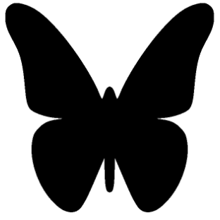 Tanvi Vishwanath Github - City Photo Collection - HD Quality