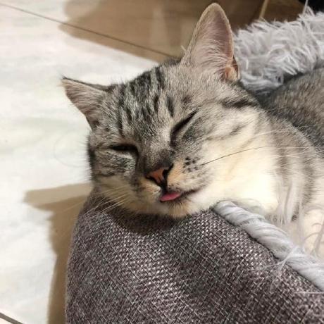 Peiying Yu Github - Download Beautiful Minimal Image | Ultra HD