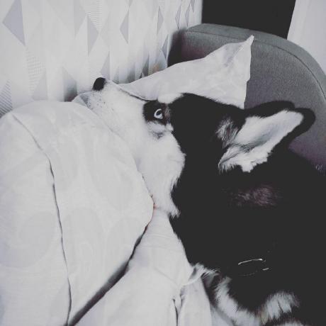 Helen Olena Github - Best Space Backgrounds in Mobile