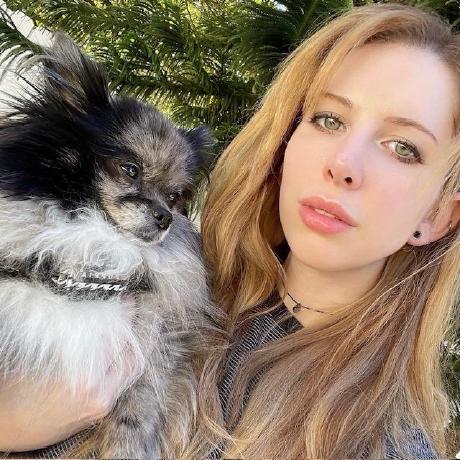 Github Freckledspider Everbloomfrontend - Best Colorful Patterns in High Resolution