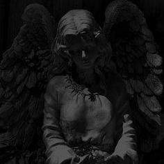 Leojcohen Leo Cohen Github - Premium Sunset Picture Gallery - Retina