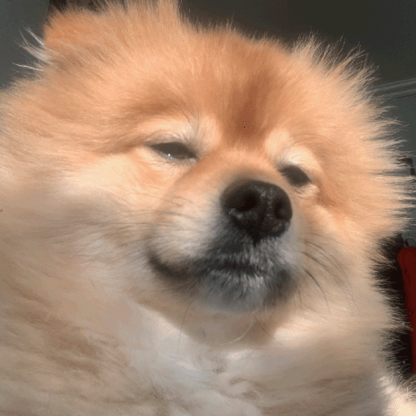 Funjo Fangzhou Cheng Github - Full HD Nature Illustrations for Desktop