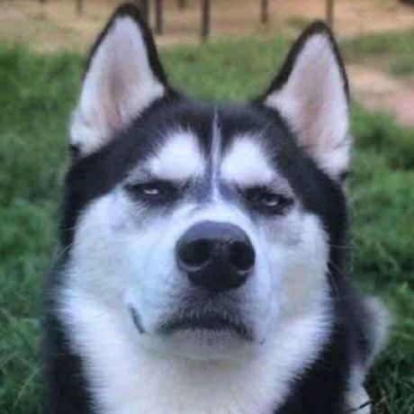 Papertigersom Paper Github - Premium Geometric Texture Gallery - Mobile